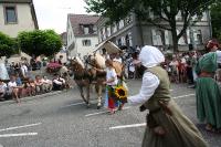 IMG_6487 (2) 